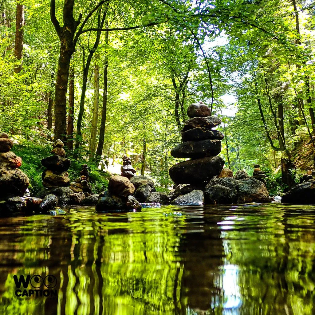 A river is nature’s