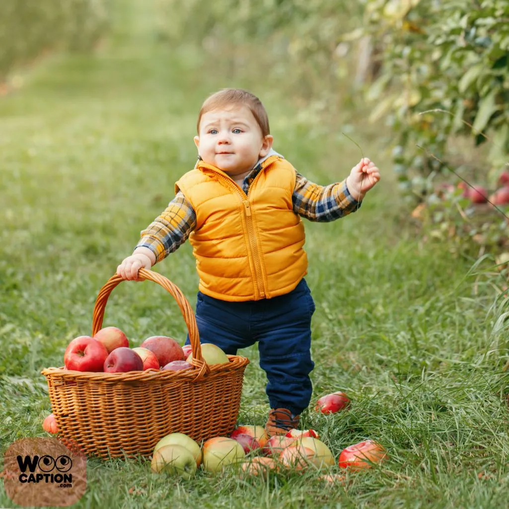 Apple Picking Memories