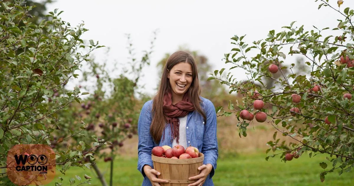 Apple Picking