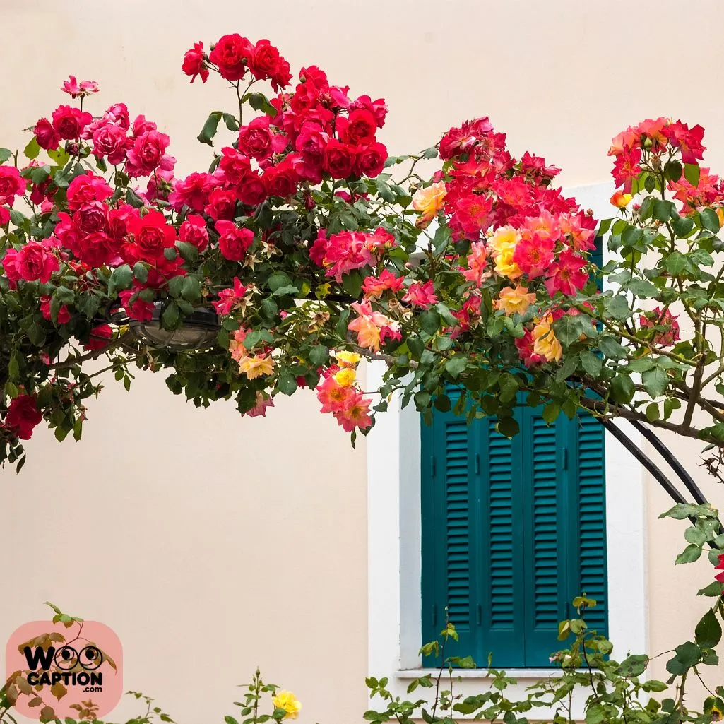 Beauty Of Greek Islands