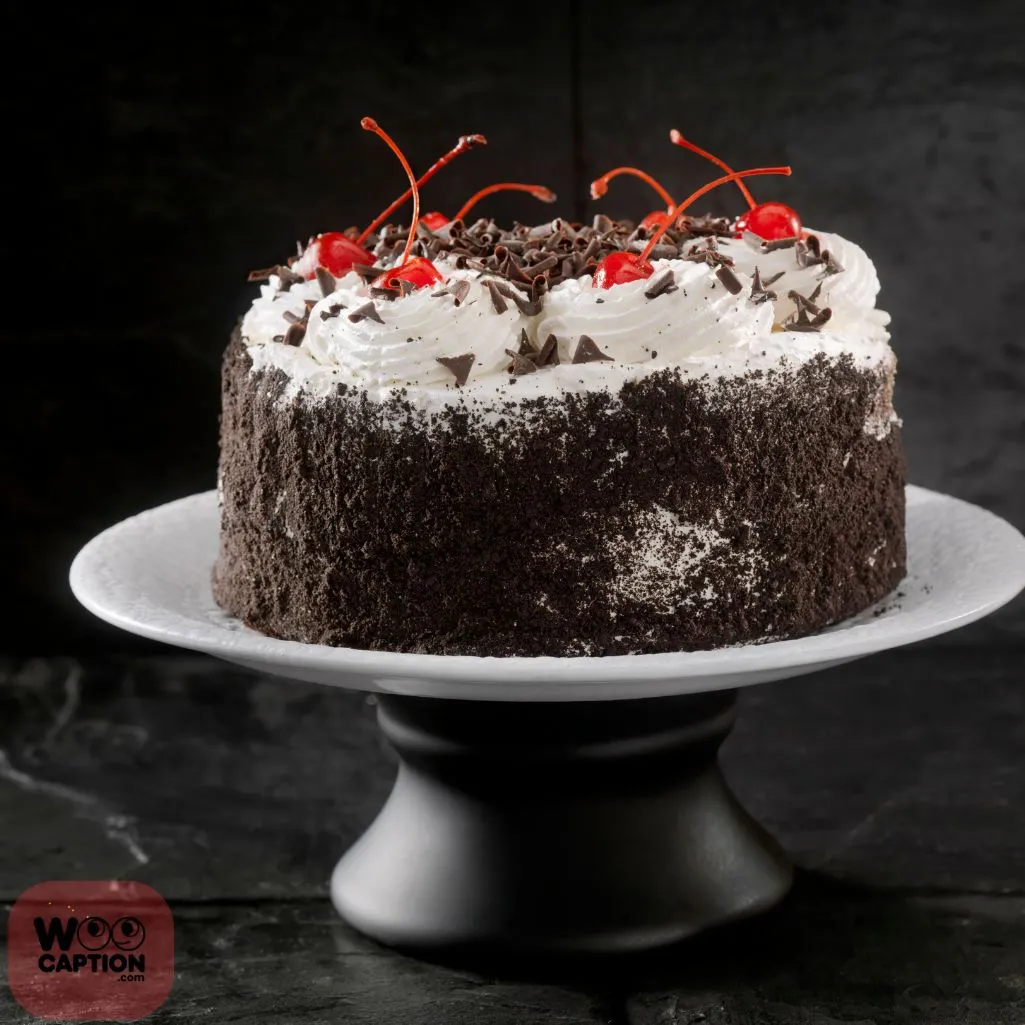 Cake Is The New Black