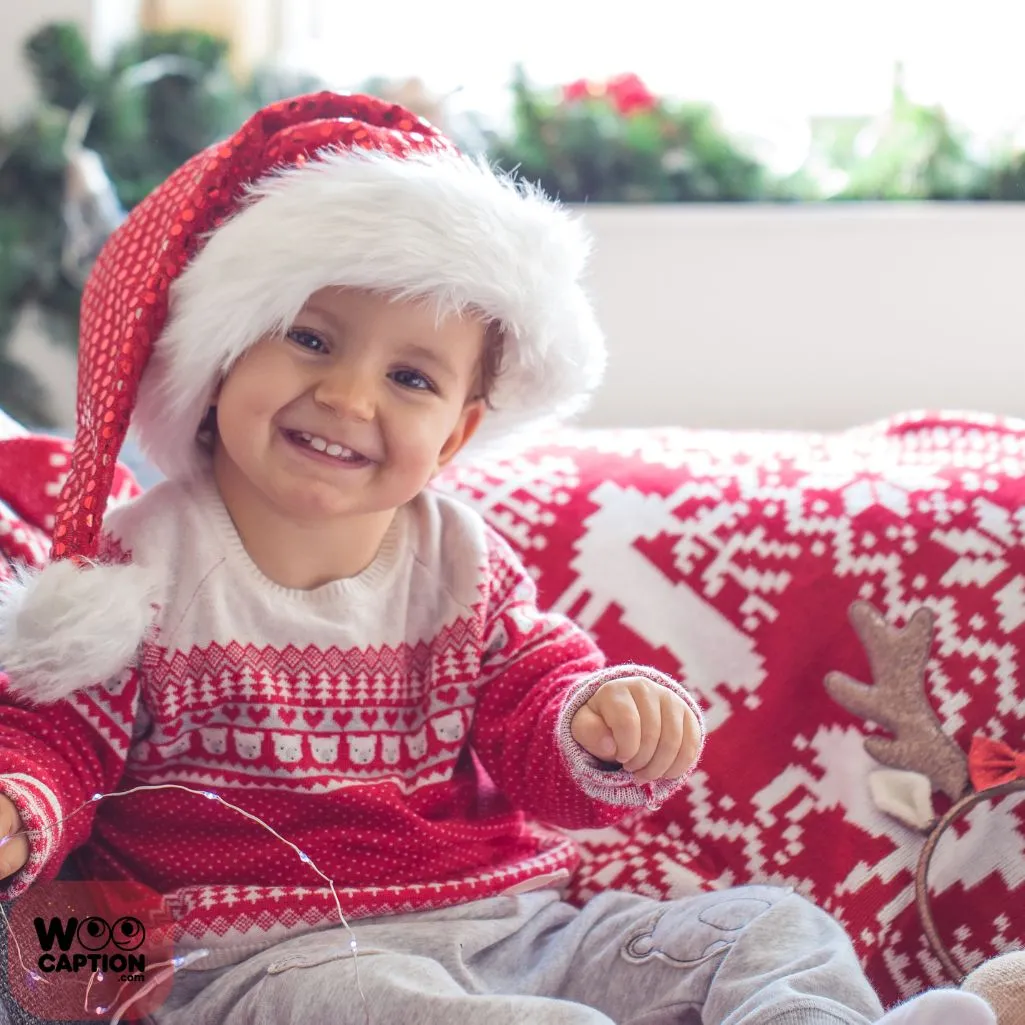 Cutest Bundle