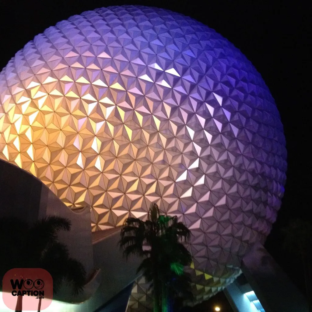 Epcot Days