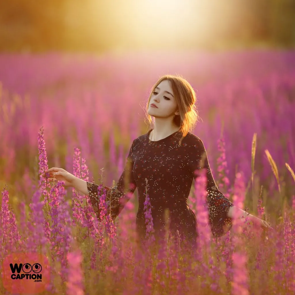 Field Full Of Flowers