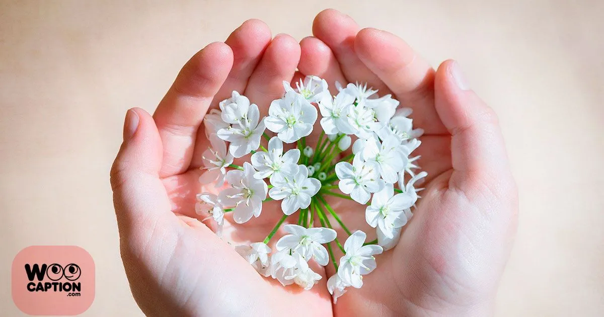 Flower Captions
