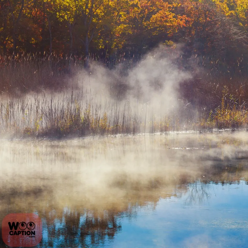 Foggy River Morning