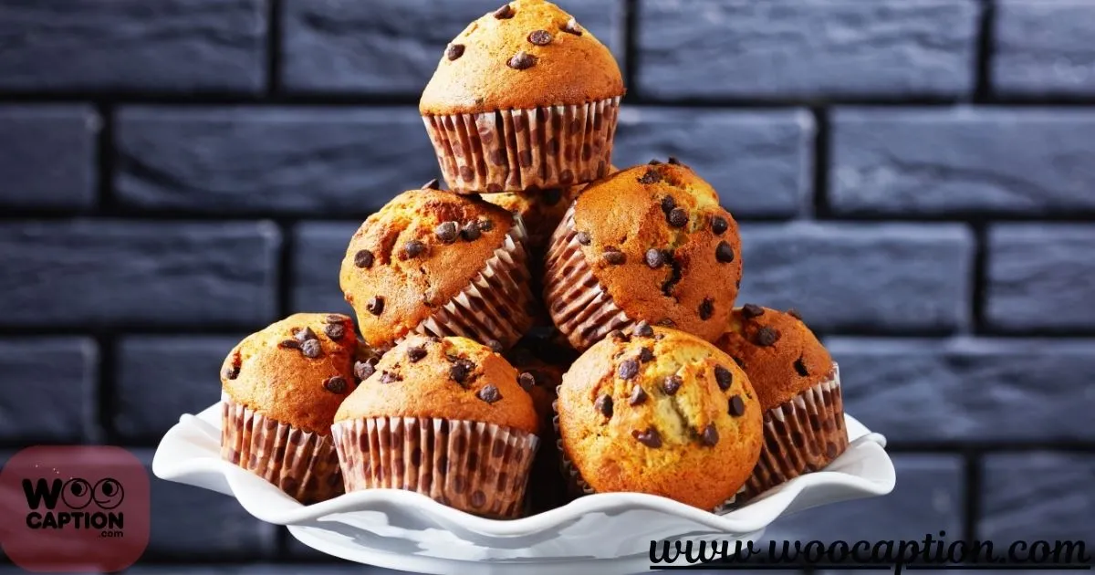 Fun Muffins Captions