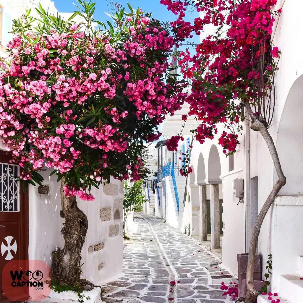 Greece Is Where
