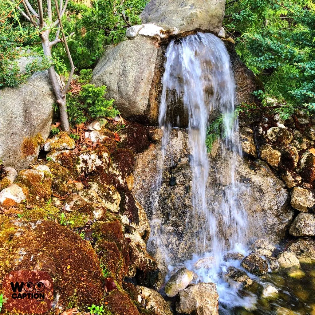 In The Rivers Flow