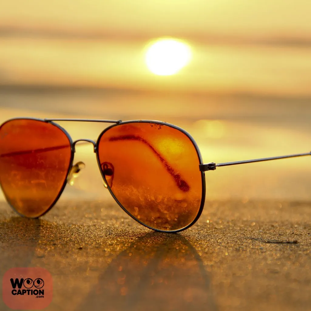 Sunglasses