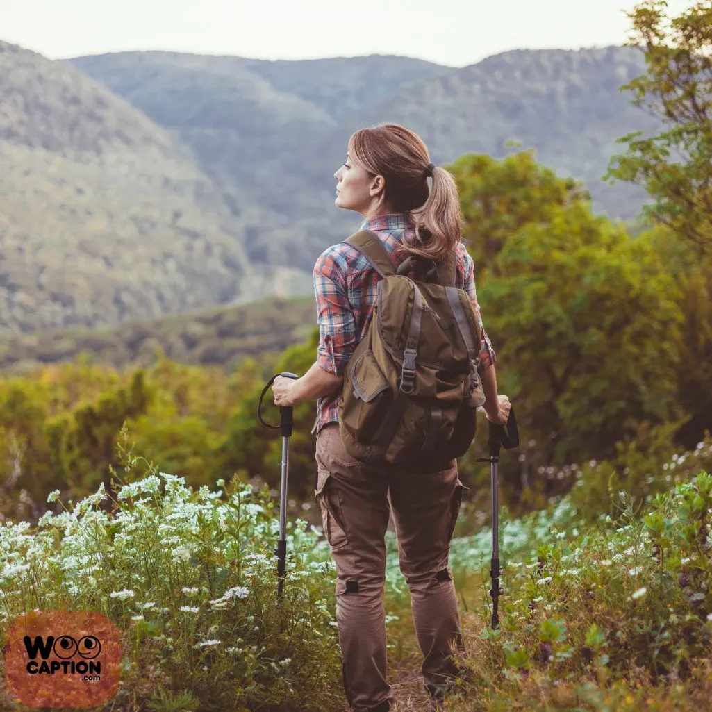 Wander Where The Wild