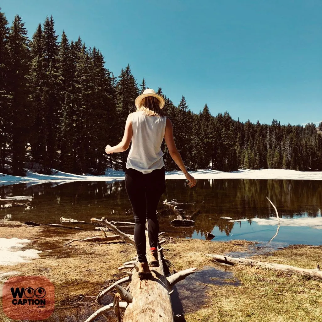 Wander Wild Live Free