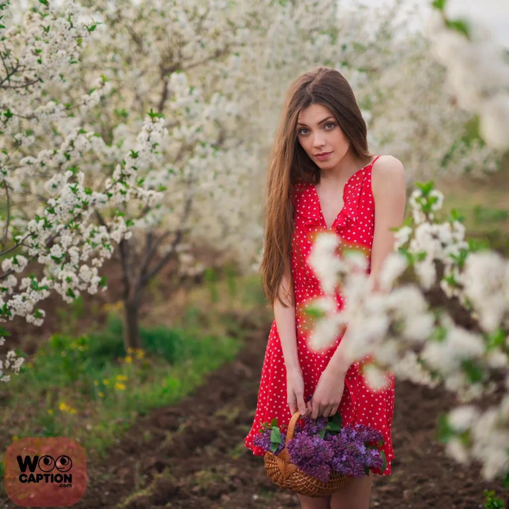 World Of Flowers