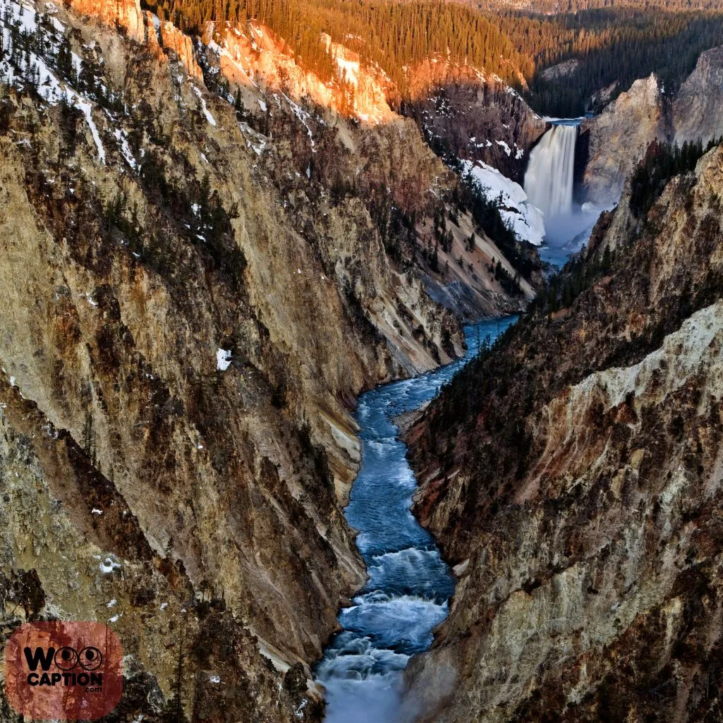 Yellowstone’s residents