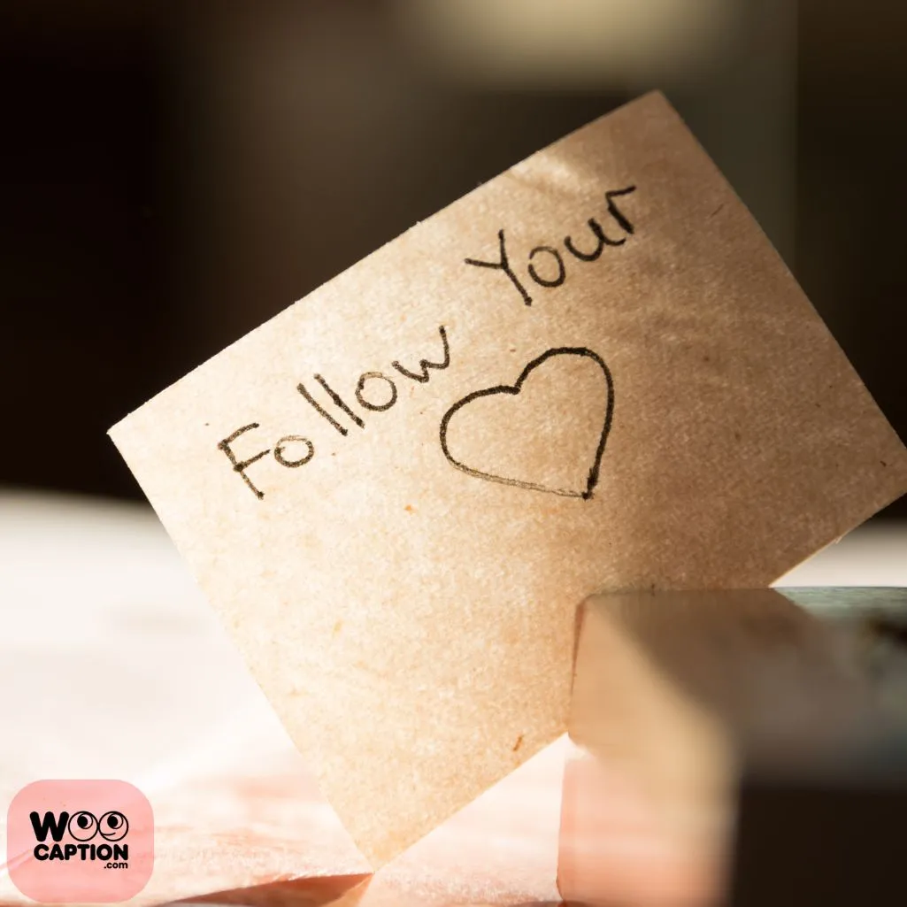Your Followers