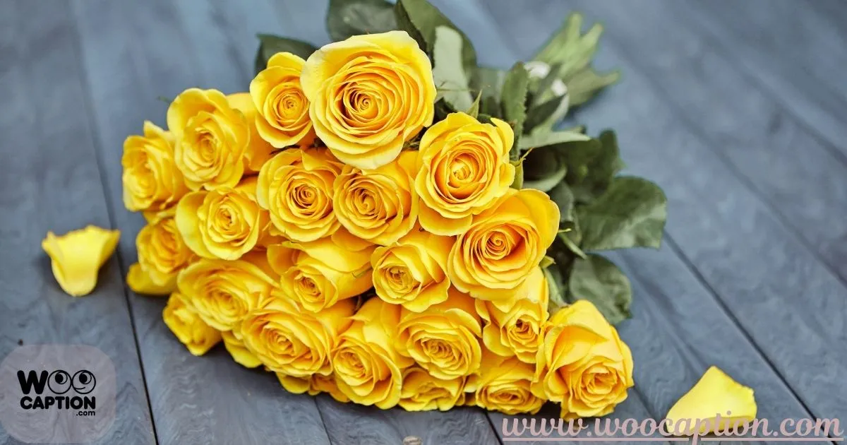 Best Yellow Rose Captions