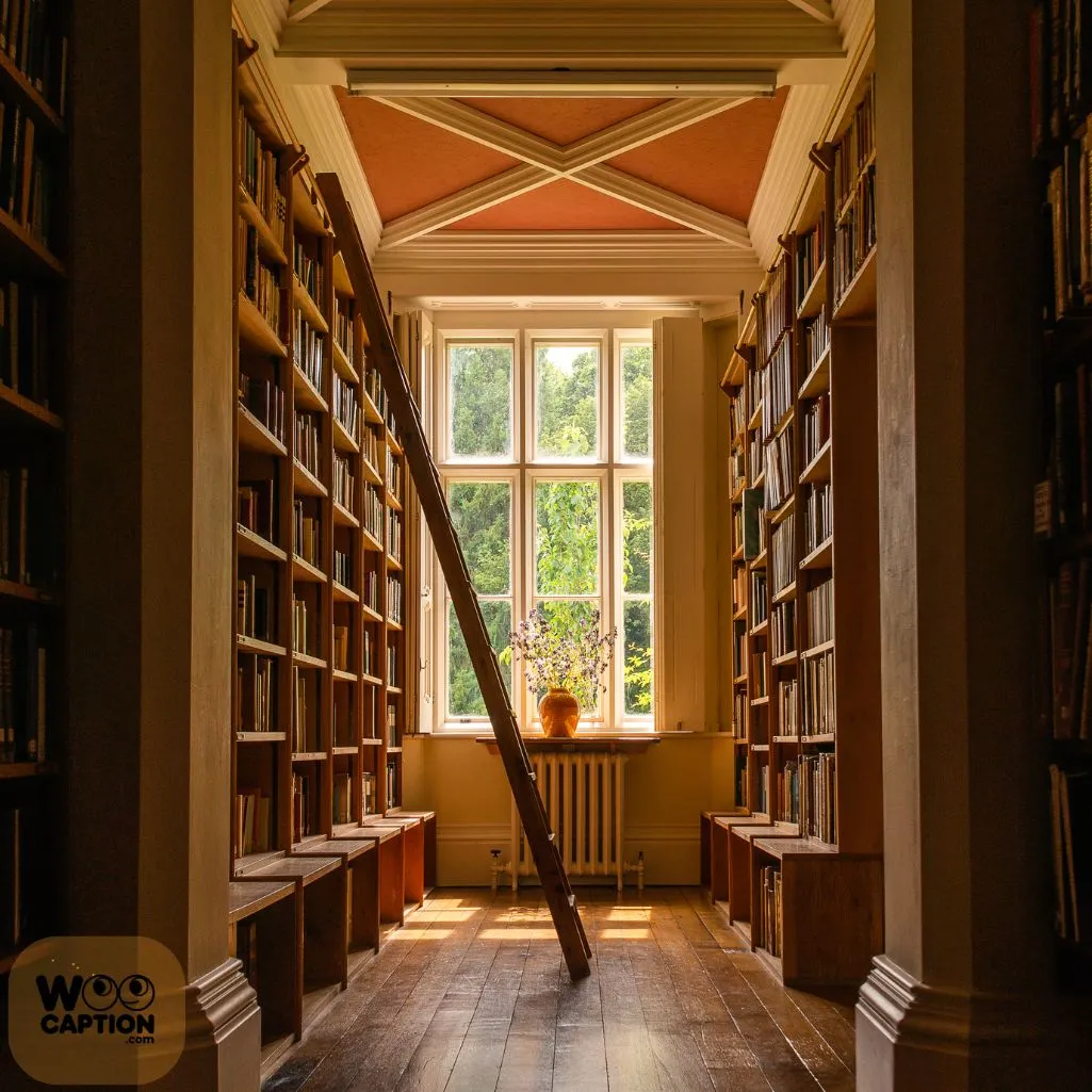 Library Quotes For Instagram