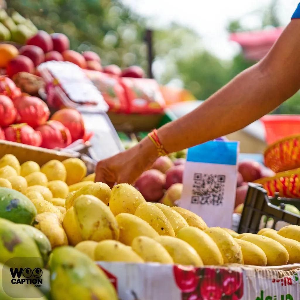 Mangoes Make Life Magical