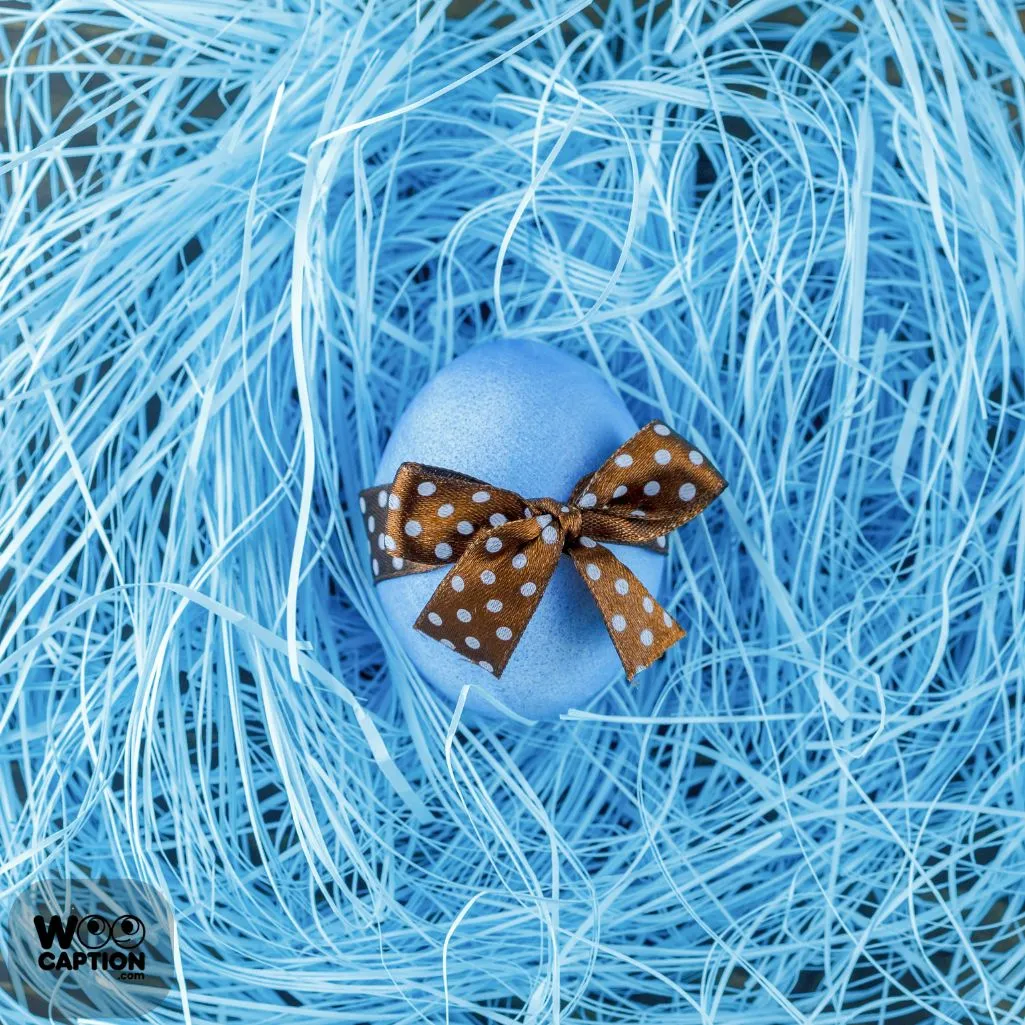 Nest With Elegance