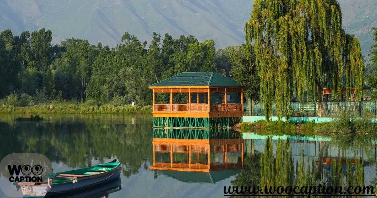 Kashmir Captions